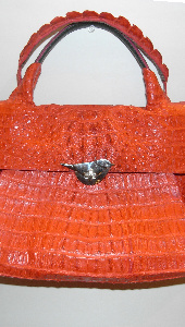 RedCaimanHandbag