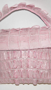 huge crocodile tail