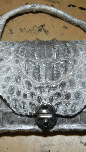 white crocodile card pouch